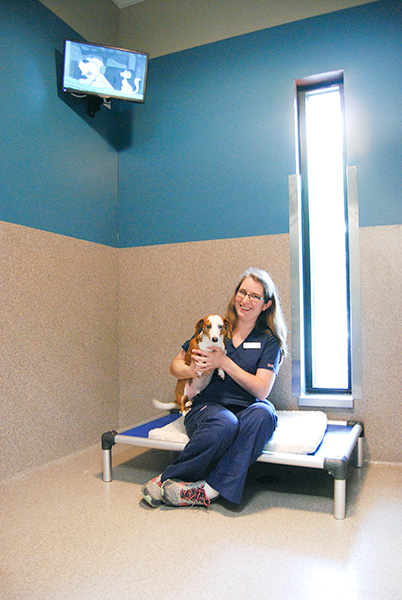 Dog Kennel Cabin at Blue Springs Pet Resort